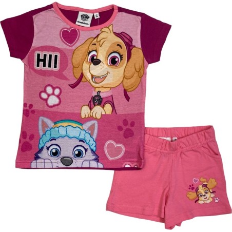Paw Patrol Strandset