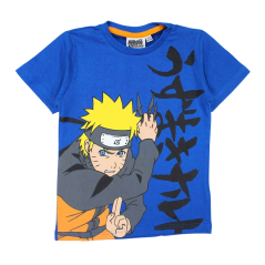 Naruto Shorts T-Shirt Set