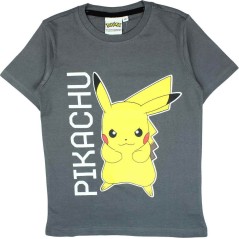 Pokémon  Short Sleeve T-shirt