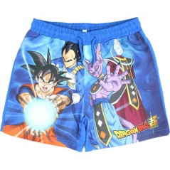 Dragon Ball Super Swim Shorts