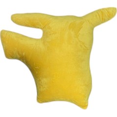 Pokémon cushion