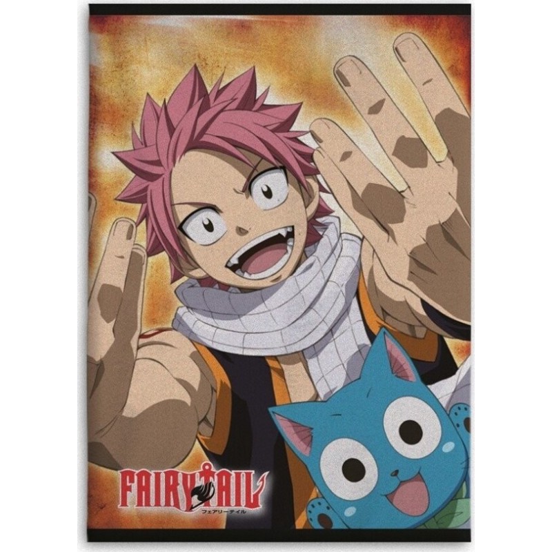 Fleecedeken Fairy Tail