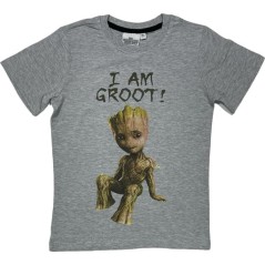Tee-shirt Manches Courtes Star Wars