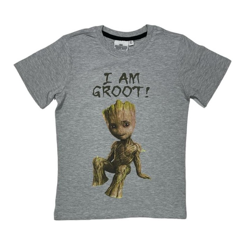 Tee-shirt Manches Courtes Star Wars Tee-shirt Manches Courtes Star Wars