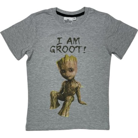 Tee-shirt Manches Courtes Star Wars