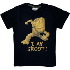 Star Wars Kurzarm-Tee-Shirt für Erwachsene