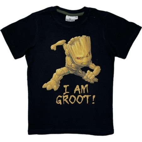 T-shirt Gardien de la galaxie Marvel ados