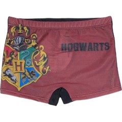 Boxer de Bain Harry Potter