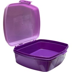 Frozen Disney Lunch Box