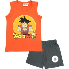 Dragon Ball Super Shorts T-Shirt Set