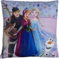 Disney Frozen cushion