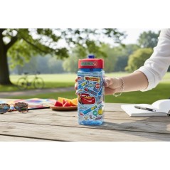 Square water bottle Cars Disney