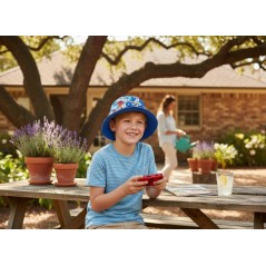 Sonic Hut