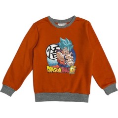 Dragon Ball Z Jogging Set