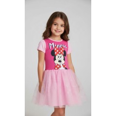 Minnie Disney costume dress