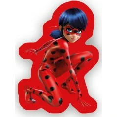 Coussin  miraculous forme