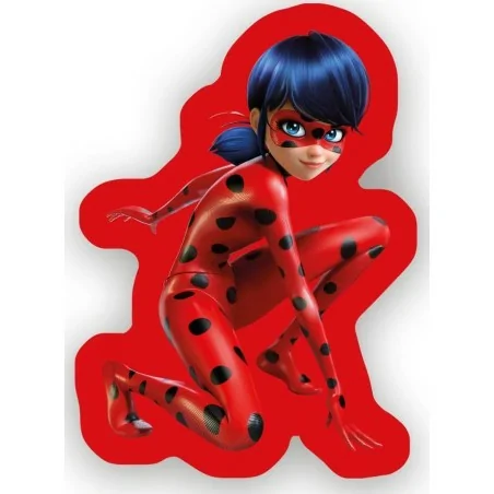 Coussin  miraculous forme
