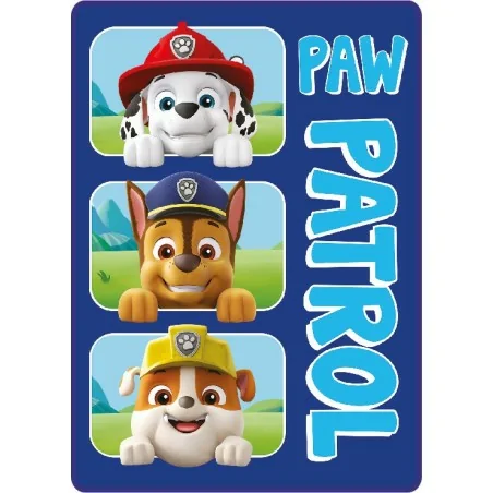 Plaid Polaire Paw Patrol