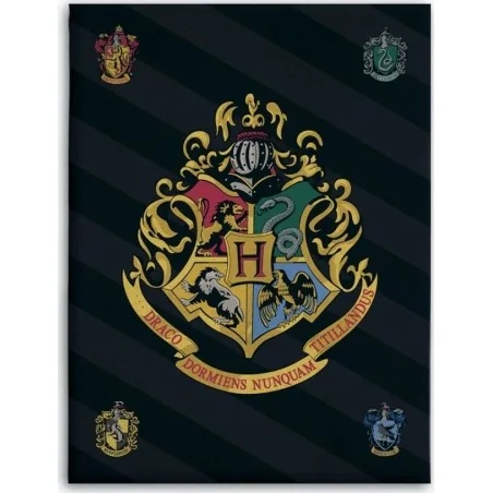Plaid Polaire Harry Potter