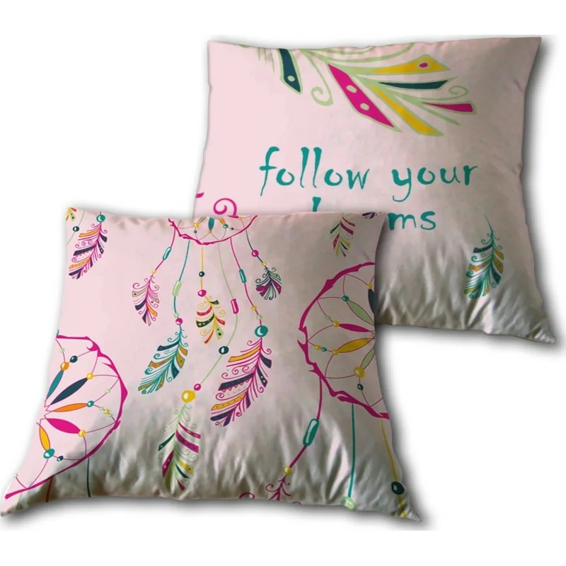 Follow your dream coussion