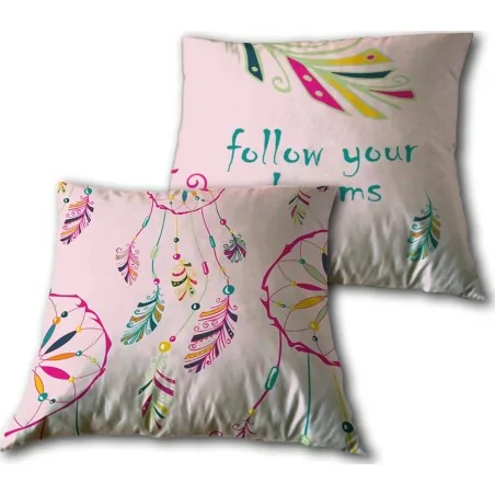 Follow your dream coussion