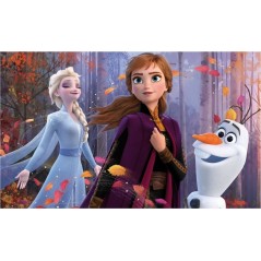 Tapis De Chambre Frozen